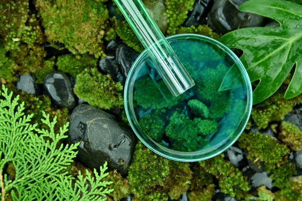 scientist-pouring-organic-essence-substa