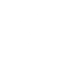 Untitled_Artwork_edited.png