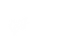 Untitled_Artwork.png