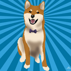 Shiba Inu