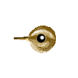 reedwarblerfinal