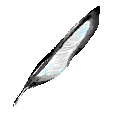 magpiegif
