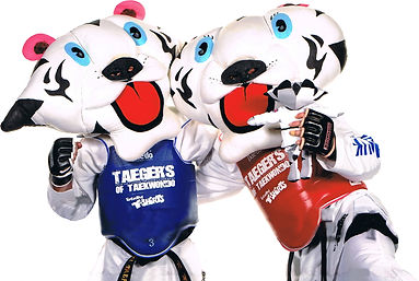 Taegers professional picture transparent