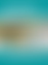 Squeee! I have a show!