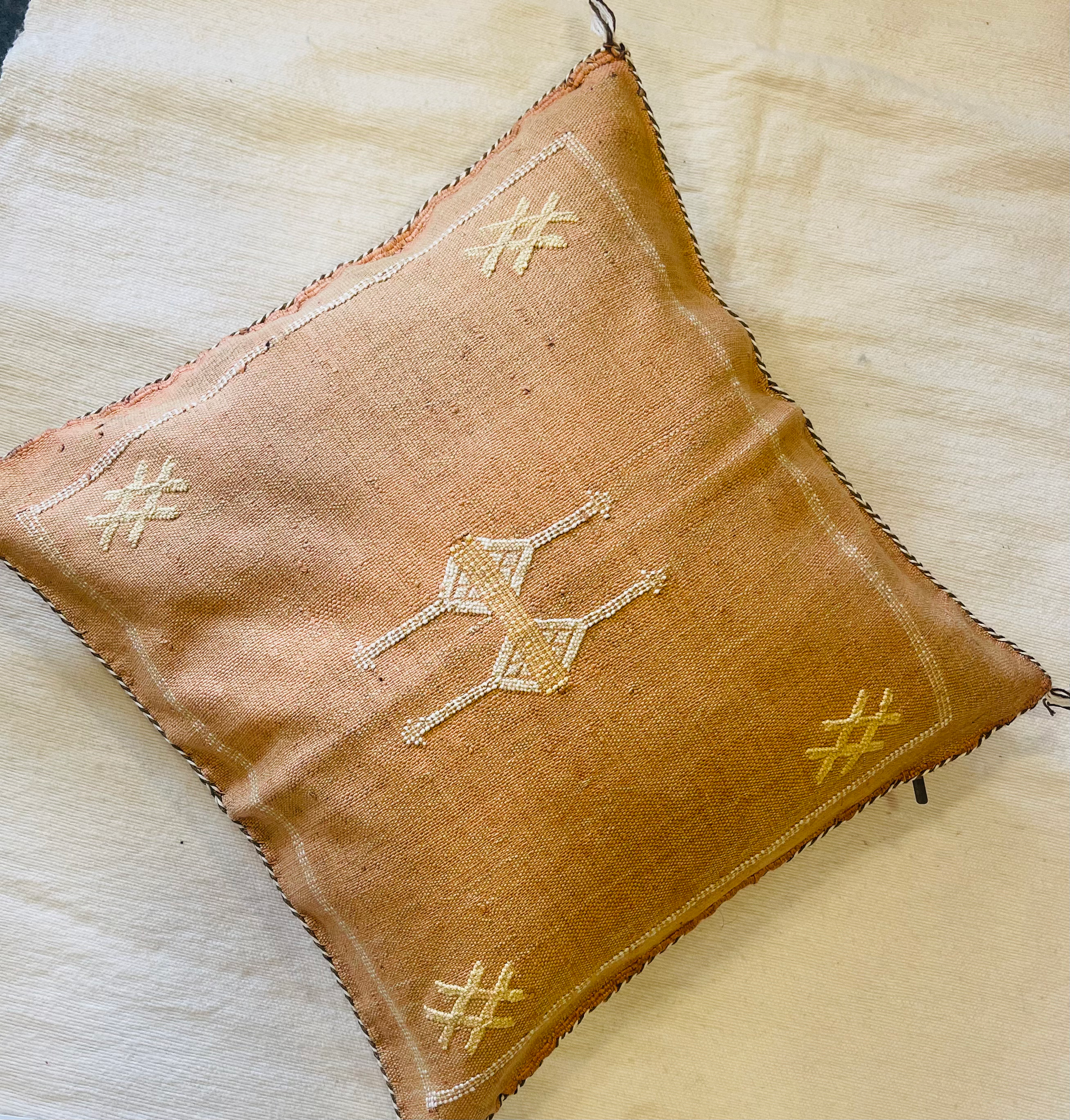 Coussin Cactus de soie saumon 