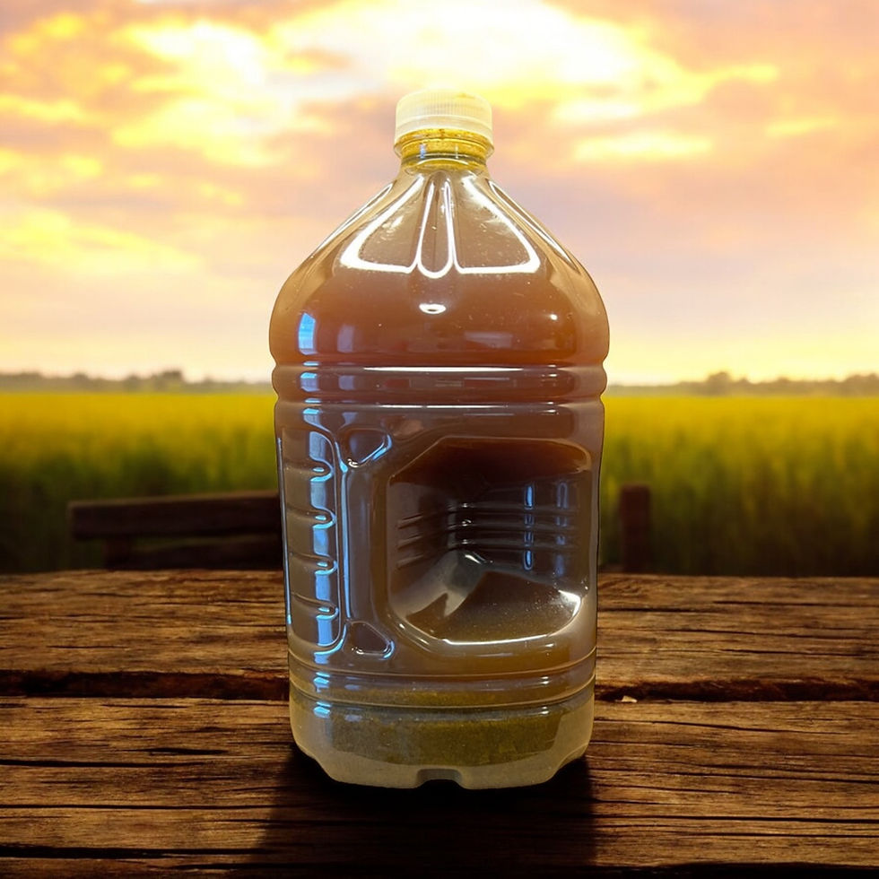 Thumbnail: 3 LITER EVERYTHING'S PEACHY LIGHT