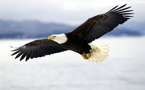 Permission to be Free