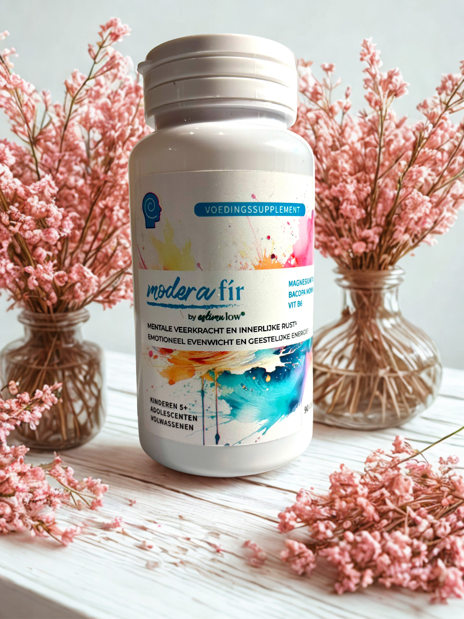 Overprikkeling kit: 90 dagen rust in het kinderbrein