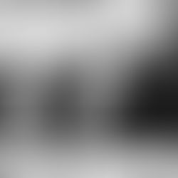 The Importance of Firearms Safety