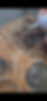 451758674_1006536577790290_8601789484843019613_n.jpg