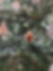 451367039_1580013749228880_1230110135900452393_n.jpg