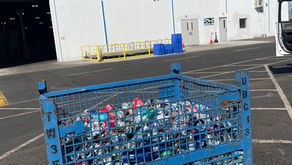 Recycle to the Max: Soft Roll out Success & Exciting Updates!