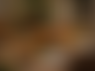 A Cozy Guide to Preparing the Perfect Christmas Dinner