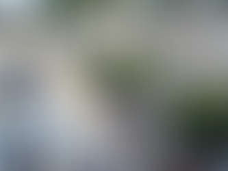 An Invitation to Dinner