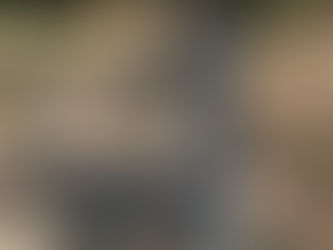 清少納言が仕えた中宮定子の眠るお墓@鳥戸野陵