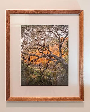 Picture Frame, 4 X 5, Meranti