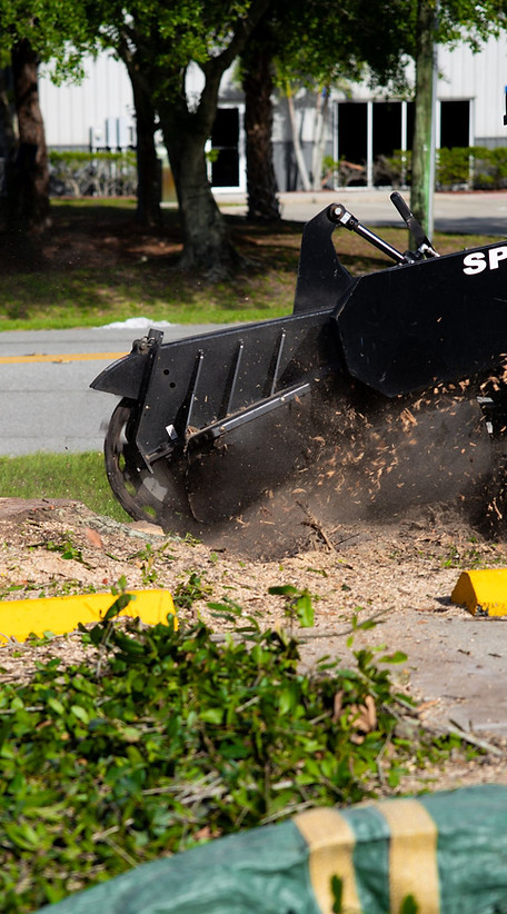 stump removal melbourne fl