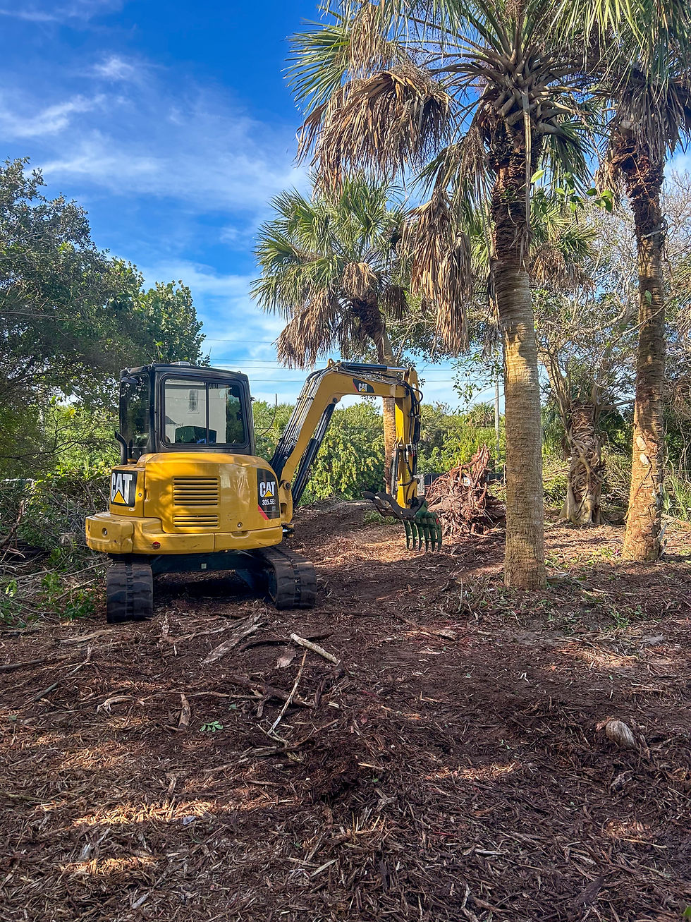 Land clearing Malabar FL