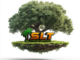 Professional Tree Service in Brevard County, FL – Safe, Reliable & Affordable