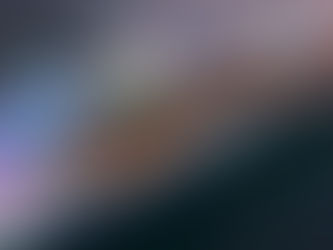 Best Hotels Near Port Canaveral Before Your Cruise (And How Sunflower Transport Gets You There On Time)