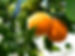 download (3).jpeg