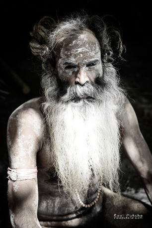 portrait of a sadhu