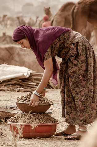 pushkar, rajasthan, india
