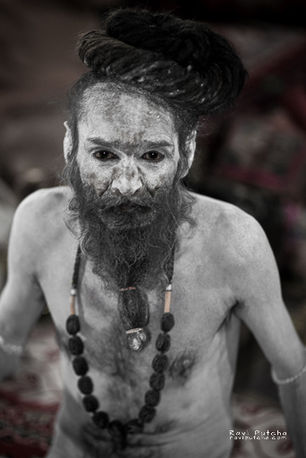 portrait of a sadhu