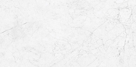 Statuarietto Bianco Slab.jpg