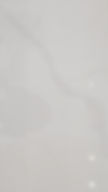 Calacatta Pearl Quartz