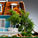 How To Avoid Common Holiday Home Insurance Claims