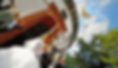 39989715_s1600x1600_edited_edited.webp