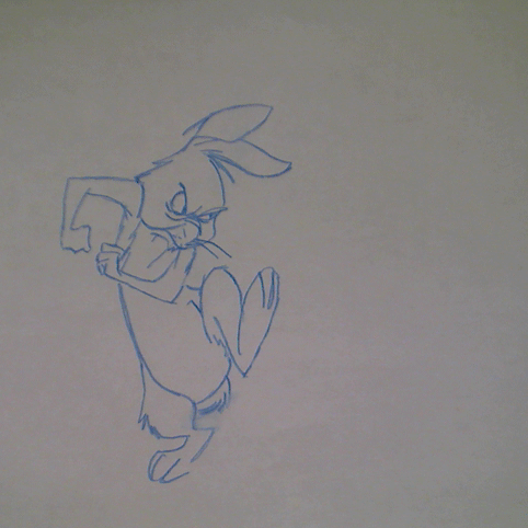 RABBIT-WALK-fixed.gif