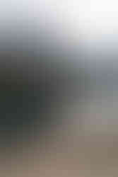 Couple eloping in Glacier Park