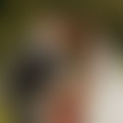 Wedding couple with colorful bouquet in NW Montana