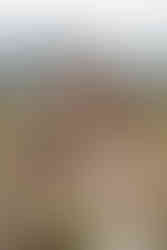 Couple eloping in Glacier Park