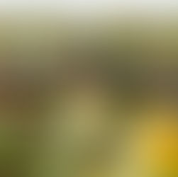 2025 Farm to Table Dinner at Two Kays Flower Farm