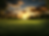 u6482882335_A_wide_lawn_at_3_oclock_with_the_sunset._--ar_43__5d676365-e514-490a-b4a0-4d02