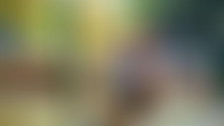 A lionhearts fitness athlete crawls through the mud at Spartan Atlanta