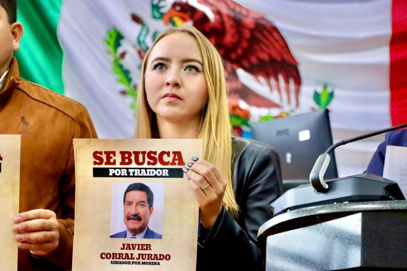 Diputada Carla Rivas