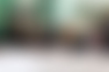 Diputado Francisco Sánchez