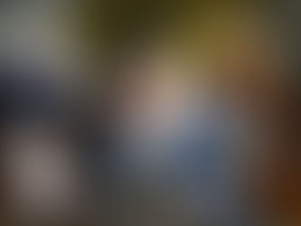 Diputado Carlos Olson 