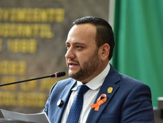 Diputado Arturo Medina