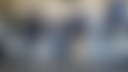 Células mIxtas de Guadalupe y Calvo