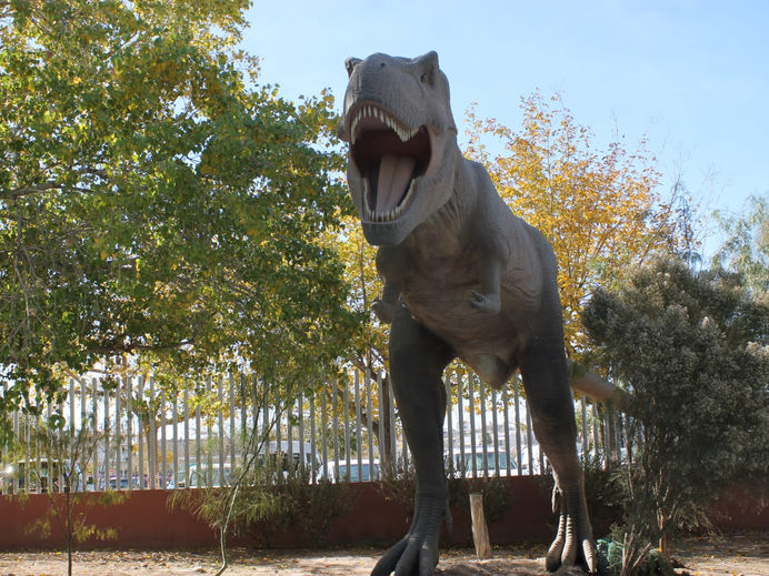 Tiranosaurio Rex, Museo La Rodadora