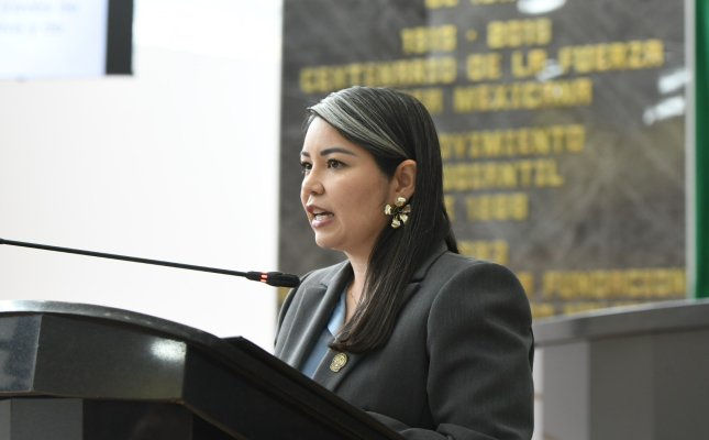 Diputada Nancy Frías (Foto; H. Congreso del Estado)