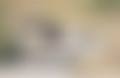 Localizan persona sin vida en la Colonia Villa Vieja