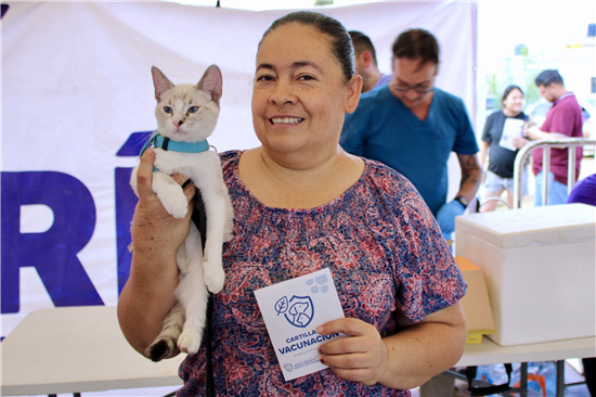 Emite Municipio recomendaciones para una tenencia responsable de gatos