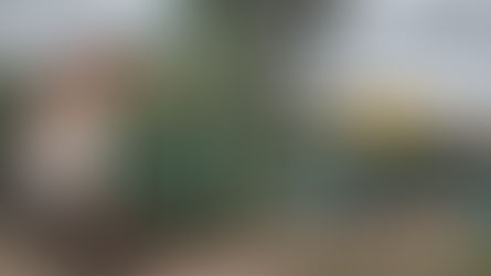 Derriba Mantenimiento Urbano árbol en riesgo de caer sobre vivienda