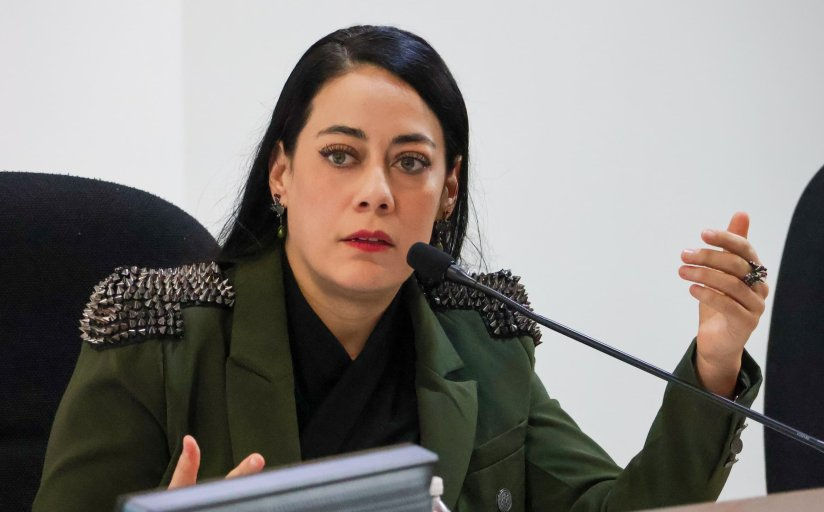 Diputada América Aguilar